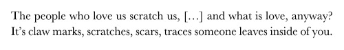 aridante:start here, caitlyn siehl // untitled, fortesa latifi // rien ne va plus, margarita karapanau (trans. karen emmerich) // black iris, leah raeder // the thorn merchant, yusuf komunyakaa // monster movie, nicola maye goldberg // a key to common