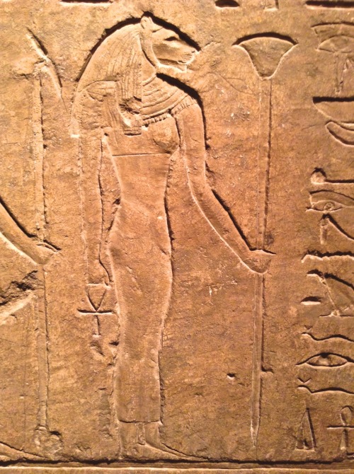 Something for #Caturday from Glencairn’s Egyptian Gallery: the feline goddess Bastet, on a 26t