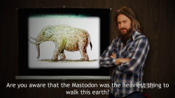 zachinglis:  Mastodon’s Guide to Mastodons     No way!