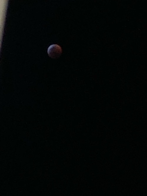 The Second Picture I Stuck My Head Out Of My Upstairs Window For. The Lunar Eclipse Is Beautiful And