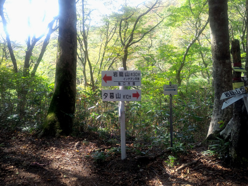 岩篭山（いわごもりやま、Mt.Iwagomori、標高765.2m）敦賀三山（野坂山、岩籠山、西方ヶ岳）20131012、14分岐点、頂上、インディアン平原