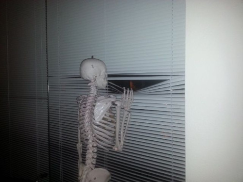 penis-hilton:me waiting for my crush to like me back