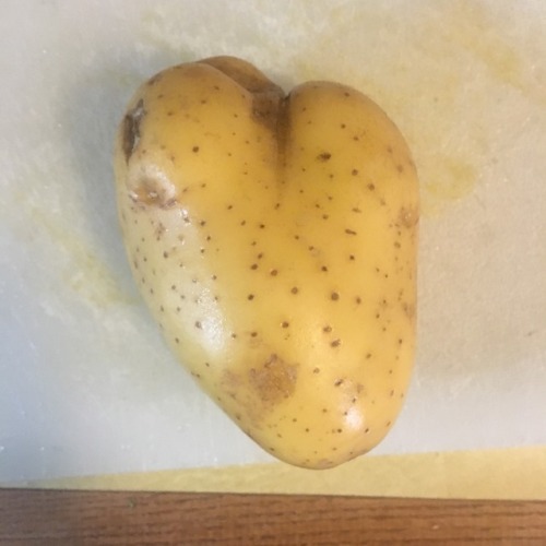 drfitzmonster: badndngirl: Heart Potato you found my sad gay potatoheart And then someone carves it&