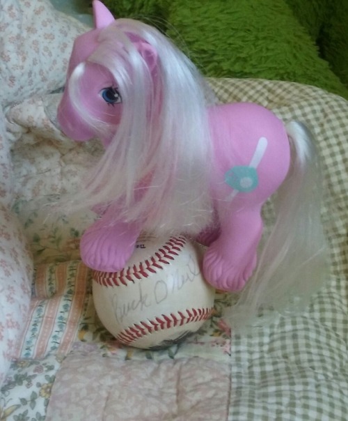 positronicandomnipotent:Big Brother pony Slugger on a baseball signed by Buck O'neil.