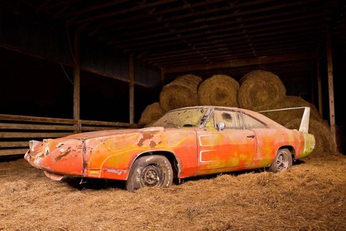 utwo:1969 Dodge Daytona Barn Find© johnny hunkis