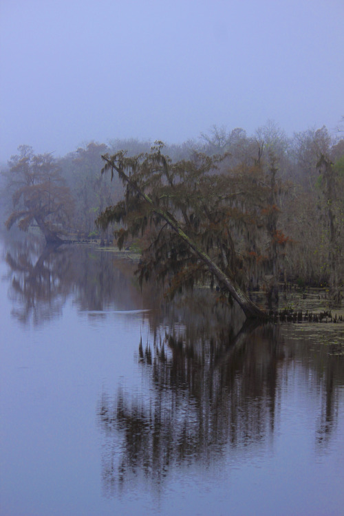 picturesfrommycamera:  more from my car