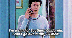 archdruidkeyleth:  ten favorite fictional teenagers: Seth Cohen (The OC) 