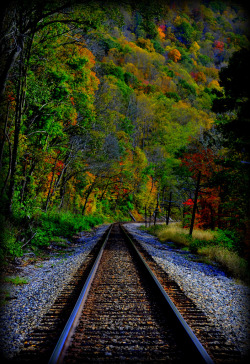 thebeautyoftheplanetearth:  New River Gorge Railroad Tracks by joy runyon 