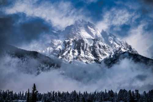 It’s Spring in Wyoming!No, wait, it’s winter! Nope, the calendar says Spring. Oh well. W