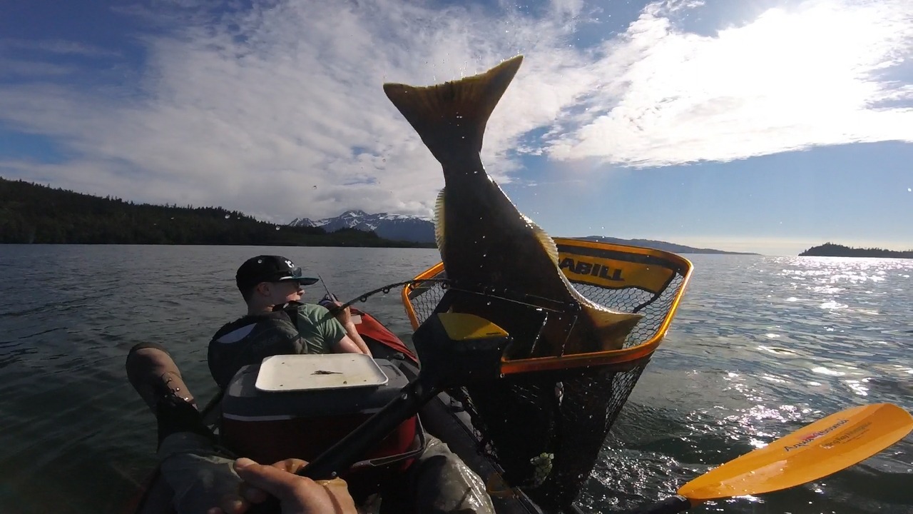 From Geoff Erwin:
My son and I went for a 3 day fishing trip in Kechemak Bay, Alaska in our Convertible Tandem Kayak that we have modified into a reliable fishing platform. The highlight of the trip was landing a respectable 35 pound halibut. Well,...