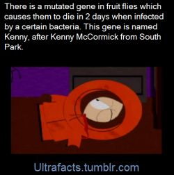 Ultrafacts:  There Is A Running Gag On The Show “South Park” Where Kenny Mccormick