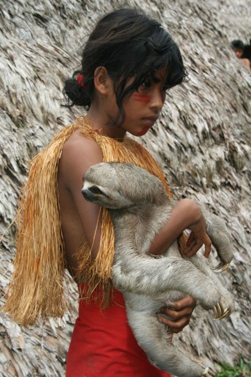 coolthingoftheday:An Amazonian girl and her pet sloth.  