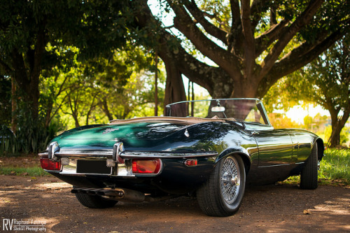 automotivated:  Jaguar E Type Cabriolet by Raphael Valença on Flickr. 