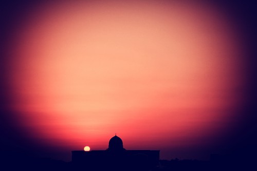 Silhouette in the sunset (Sharjah, UAE)
From the collection: IslamicArtDB » Sharjah, United Arab Emirates (5 items)