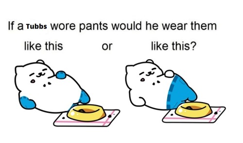 i-want-to-fuck-tubbs-the-cat: im-ok-with-tubbs-the-cat: what the fucj tubbs is best withuot pants