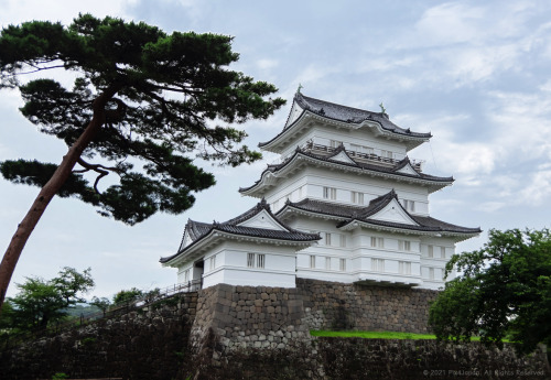 Japanese CastleOriginally built in the mid-15th century, Odawara Castle (Kanagawa Pref., Japan) was 