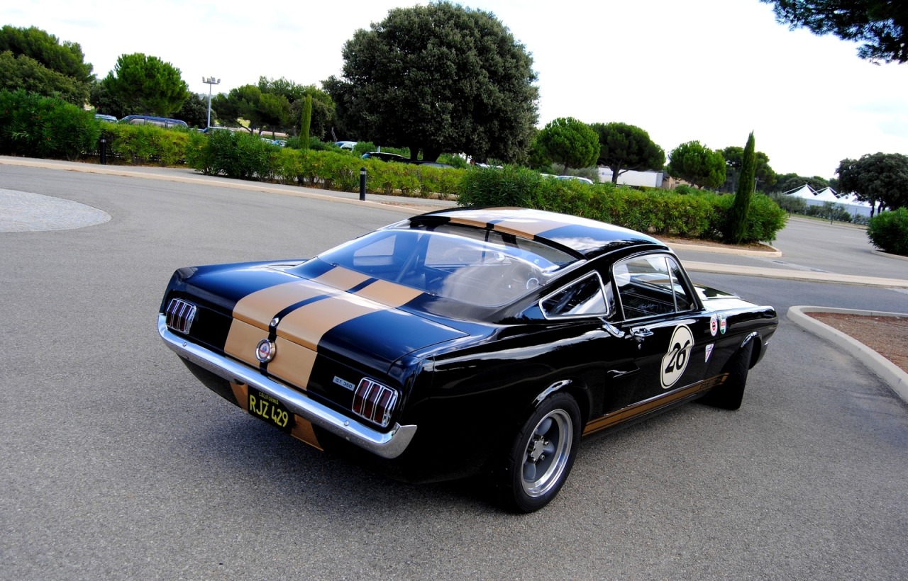 musclecarinstant:  black and gold