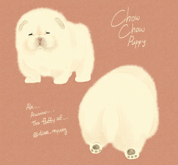 diaemyung:  Godsadsaddsaddamnit Chowchow pup is so cuteeeee 