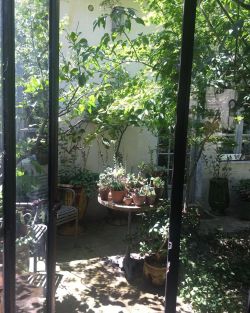 Et avec tout ça mes plantes grasses sont restées en serre jusqu’à aujourd’hui… je les sens déjà revivre !!! #monpetitjardinenville #naturephotography #naturelovers #plantesgrasses #plantes #botanique #cestbientotlété (à Nîmes)https://www.instagram.com/p/CeBUYiIsBIu/?igshid=NGJjMDIxMWI=