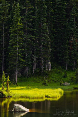 owakolf:  Nature Blog ▲