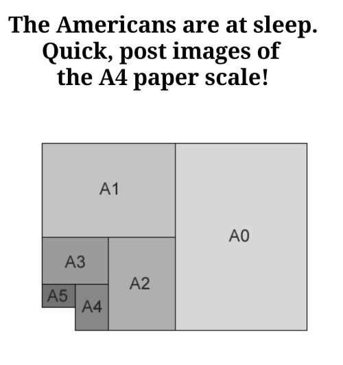 American letter size paper bad (it’s a meme, calm down)