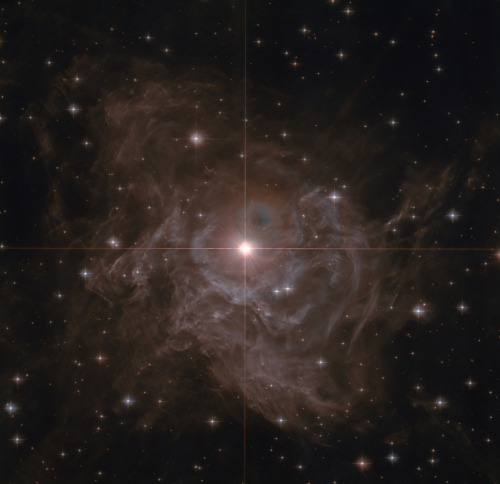 distant-traveller: RS Puppis RS Puppis (or RS Pup) is a Cepheid variable star in the constellation o