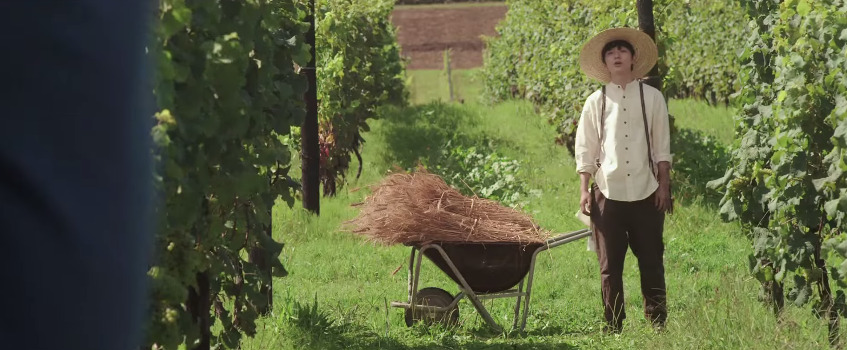 stripetee:  Sometani Shota in Tears of Grapes (ぶどうのなみだ, 2014) dir. Yukiko