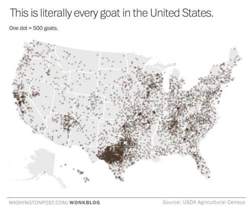 ronpaulproblems:   Thank you, Washington Post 
