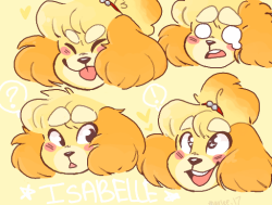 dandeliioncrossing: isabelle doodles!! 