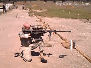 Mildly Offensive Gun Owner