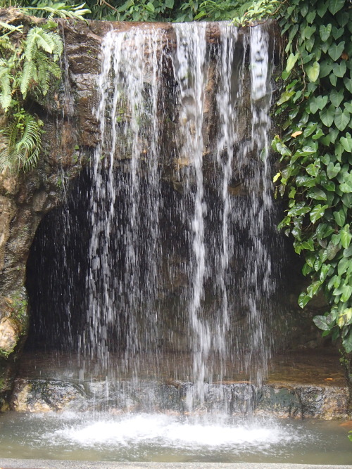tiger-breeze:  waterfall in singapore botanic gardens  please don’t delete the text