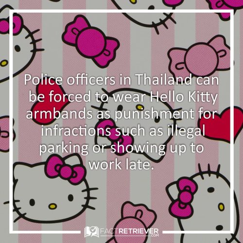 Kitty Justice #hellokitty #hellokittyfan #cops #copsofinstagram #police #policeofficer #interestingf