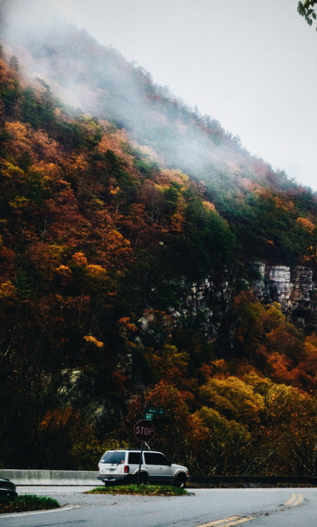 Appalachian mountain vibes.