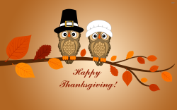 Happy Thanksgiving, to those of you celebrating!