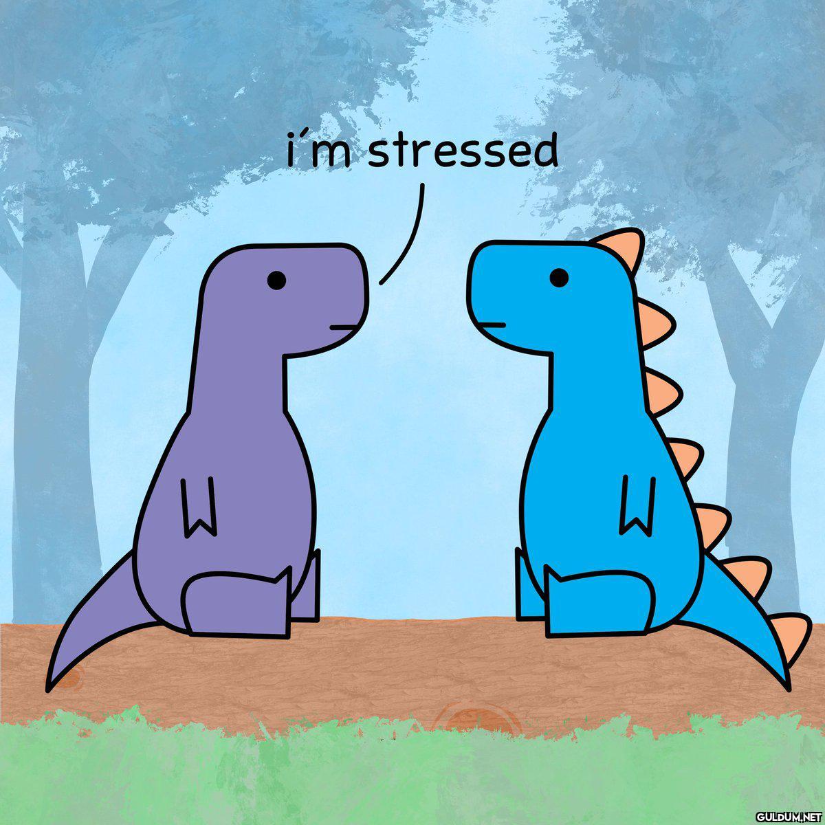 i'm stressed  what about? ...