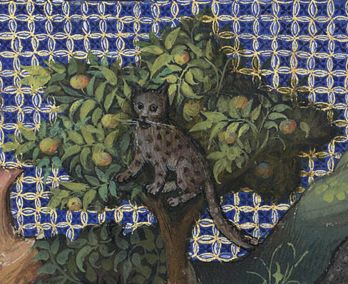 discardingimages:wild catsGaston Phébus, Livre de la chasse, Paris 15th centuryBnF, Français 616, fo