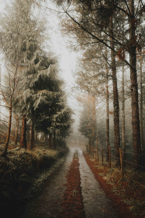 j-k-i-ng:“Cold Mornings" by | Leire Unzueta