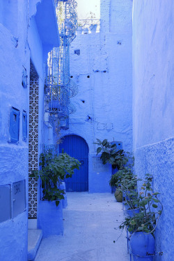 t-a-h-i-t-i:  Chefchaouen (Morocco) by Xavivi. 