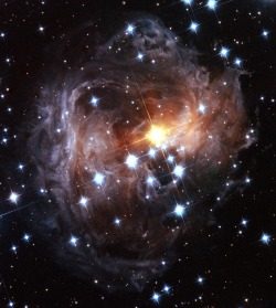 just–space:  Spectacular view of V838 Monocerotis light echo.  js