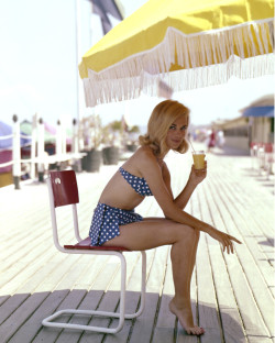 imagehaha:  Bikini Girl on the Boardwalk,