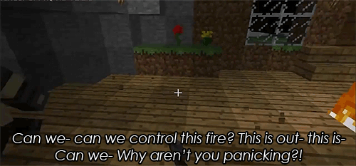 cyborgpotatogifs:Ep. 10: “Renovating” the Yogcave