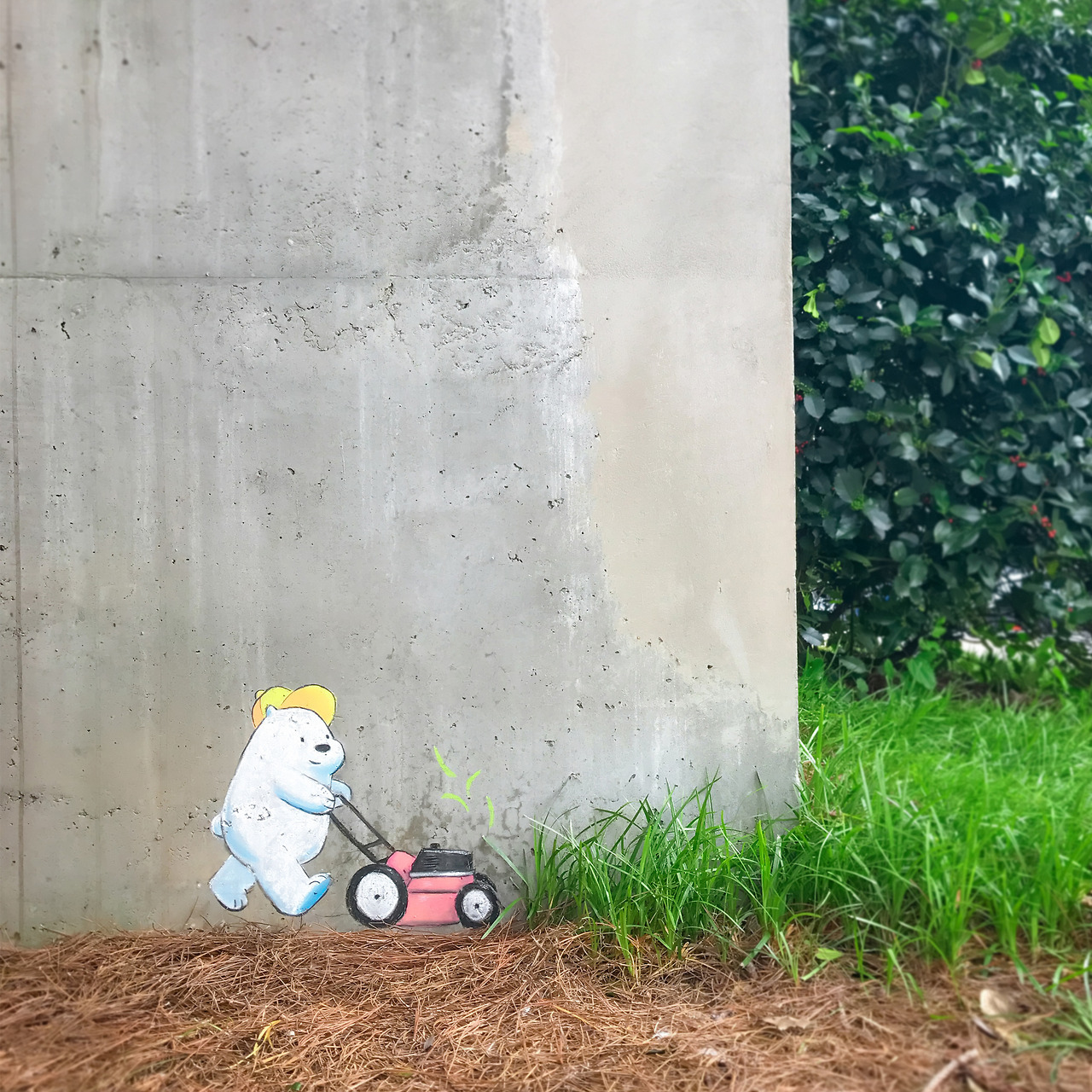 Ice Bear&rsquo;s lawn mowing service is off to a good start 