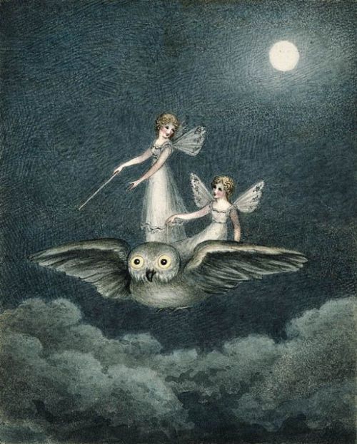 enchantedbook: “Fairies Riding On An Owl” by  Amelia Jane Murray