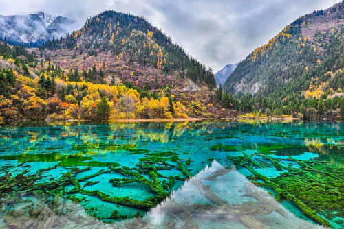 travelingcolors:  Huanglong Valley, Sichuan | China (by Nasty Bad Duck)