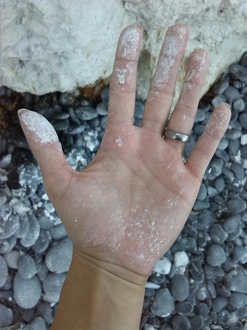 biodiverseed:Looking for fossils by the white chalk cliffs of Møn.