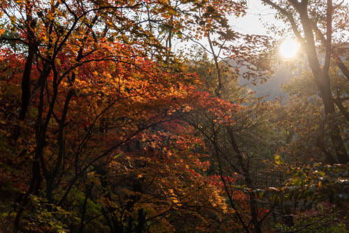 Autumn colors in Bukhansan National Park.