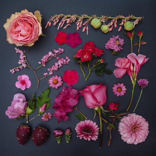 twloha:  There’s a lot to take away from Emily Blincoe’s photo series “The Garden Collection” — the beauty of order, the many colors that surround us, the unique complexity of everything in nature … But more than anything, these images
