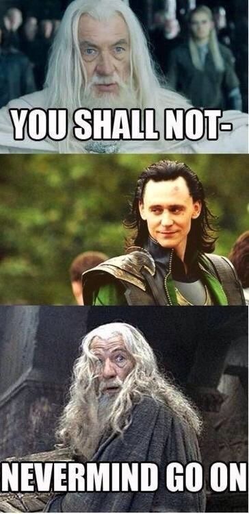 Loki’s face, awh he’s so cute! ❤️