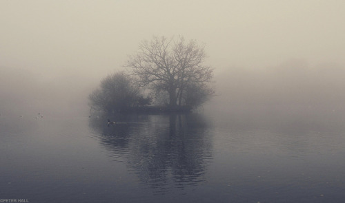 Fog Island by peterphotographic on Flickr.