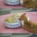 emi&ndash;rose:catasters::V